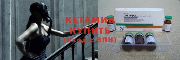 сатива Кулебаки