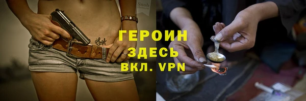 сатива Кулебаки