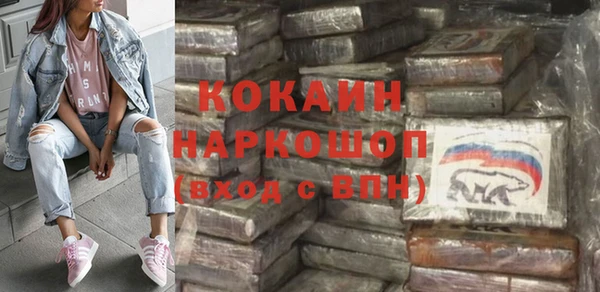 сатива Кулебаки