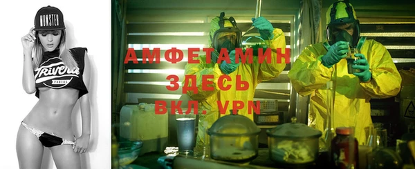 сатива Кулебаки