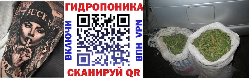 Шишки марихуана Amnesia  площадка наркотические препараты  Бикин 